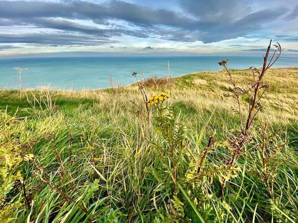 Plage A 50M Appartement Reves Ensoleilles Villa Les Bains De Mers Exteriör bild