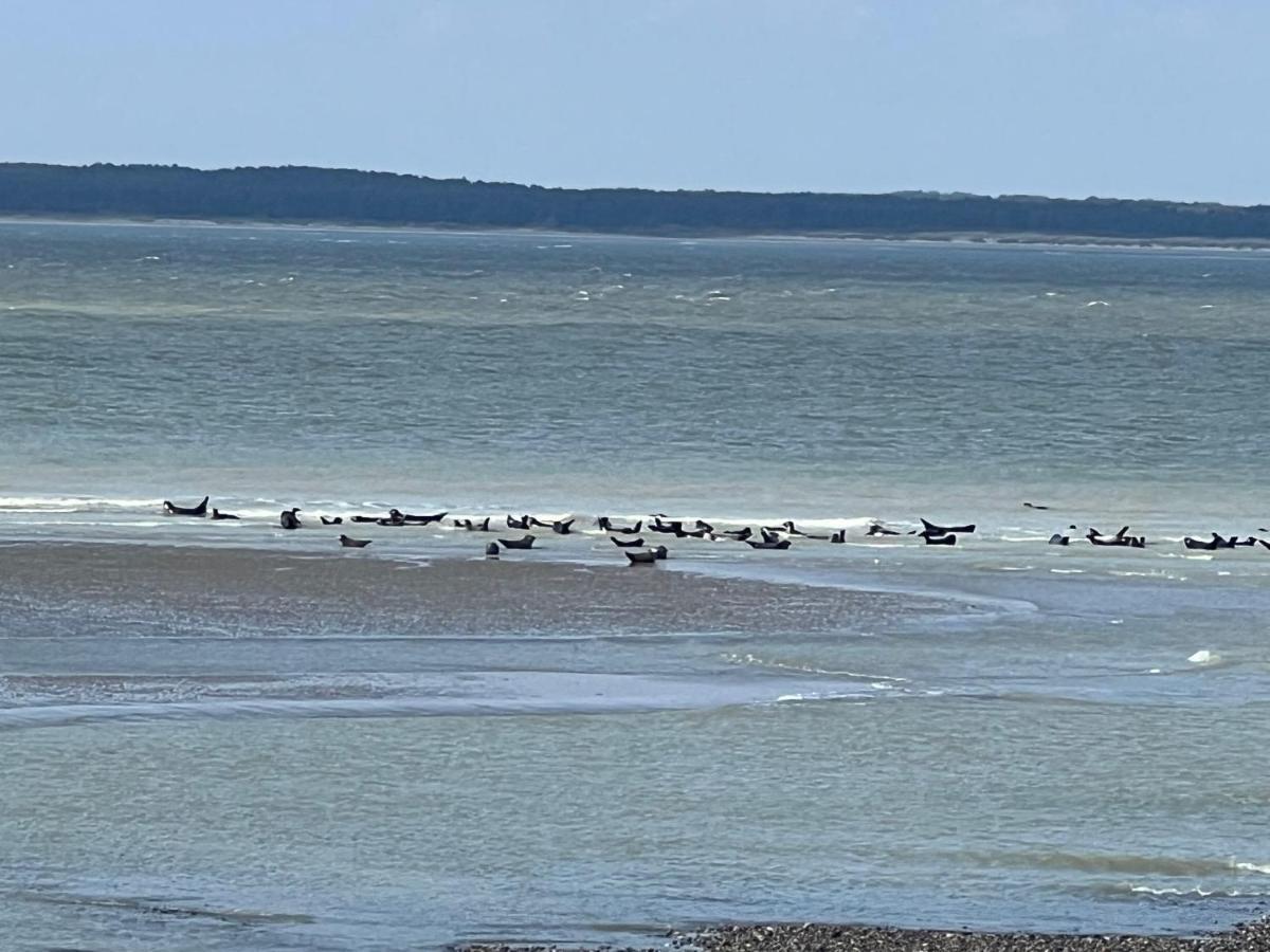 Plage A 50M Appartement Reves Ensoleilles Villa Les Bains De Mers Exteriör bild